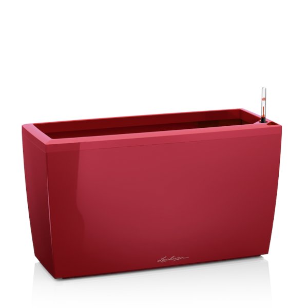 Cararo-Scarlet-Red-High-Gloss