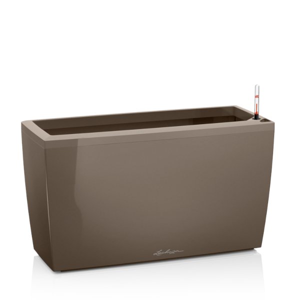Cararo-Shiny-Taupe