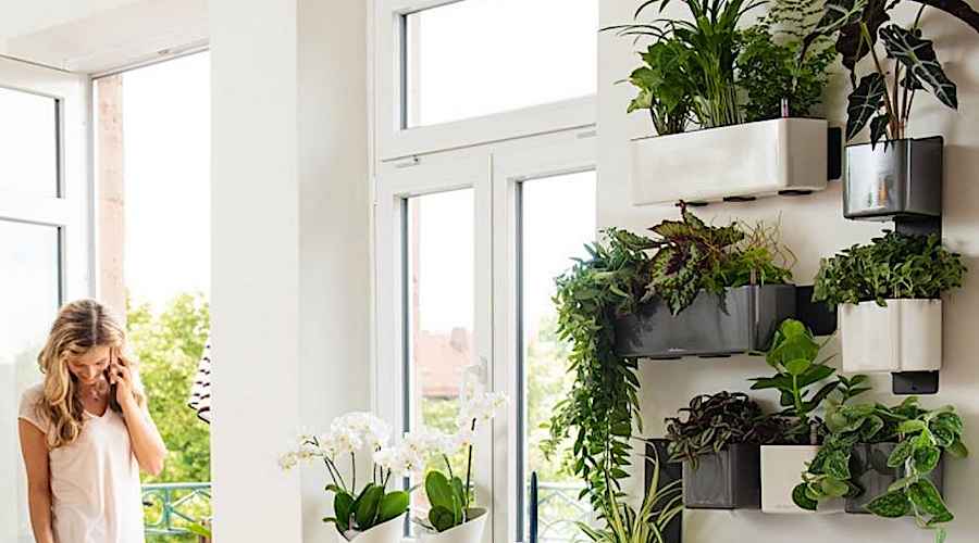 Φυτεμένες Γλάστρες CUBE Color Green Wall Home Kit LECHUZA