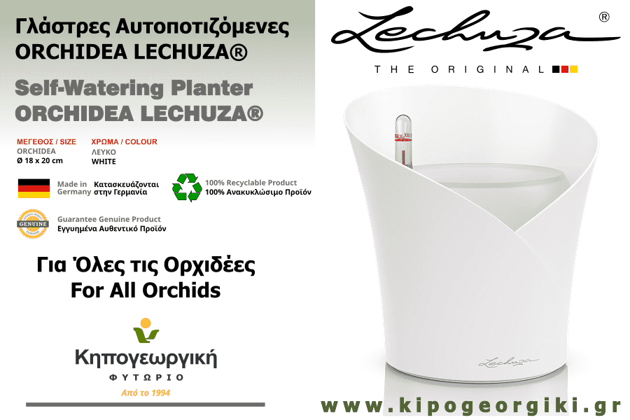 ORCHIDEA White D18x20cm Self-Watering Round Planter-Cachepot