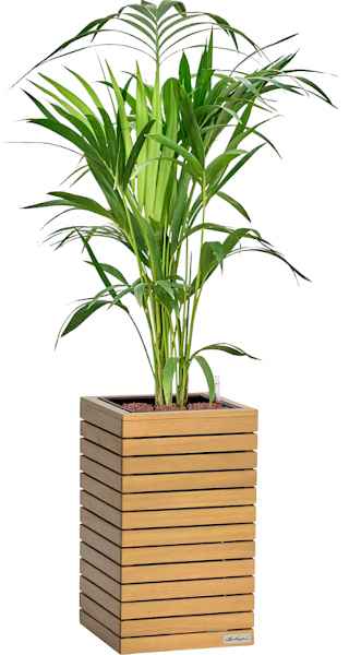 Planter PALO Wood HIGH