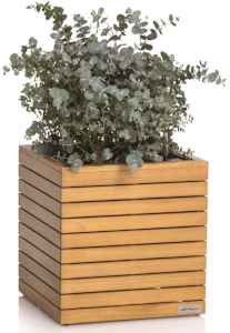 Planter PALO Wood LOW