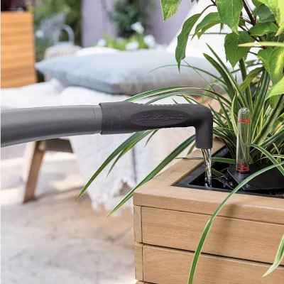 Watering of Planter
