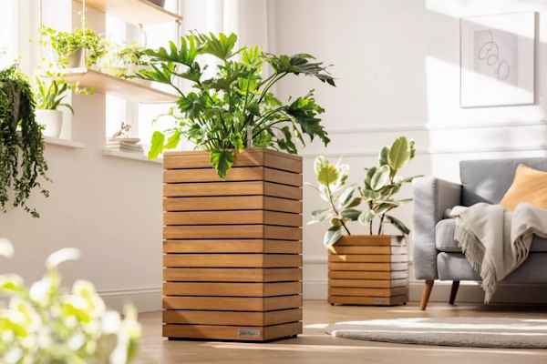 Palo - Design & Functionality