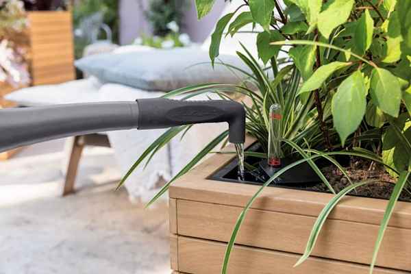 Palo - Self-Watering System