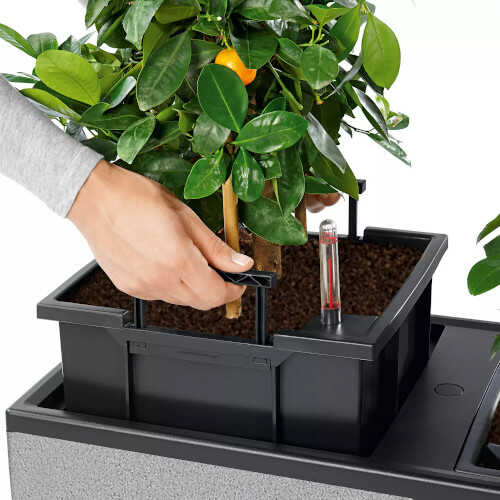 CANTO Stone Wide Planters With Interchangeable Planter Liner and the Sturdy Carrying Handles