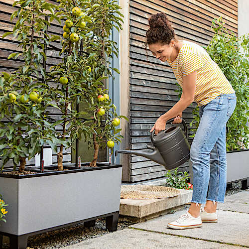 Adding Water to the Self-Watering System