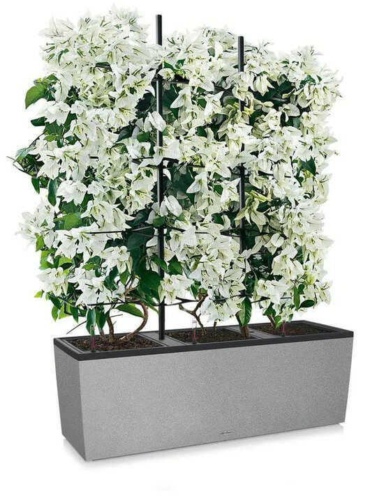 Trellis on a TRIO Stone Planter