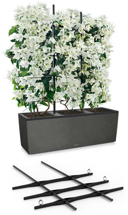 Matching Trellis on a TRIO Stone Planter