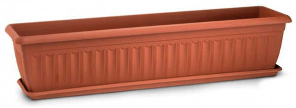 Terra Cotta