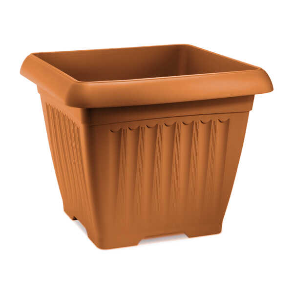 Terra Cotta