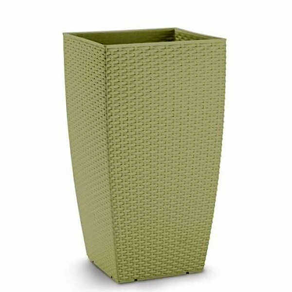 Natura-Olive-Green