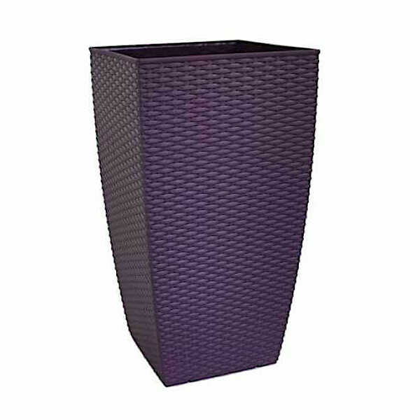 Natura Royal-Purple