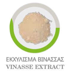 Εκχύλισμα Βινάσσας Σταφυλιών