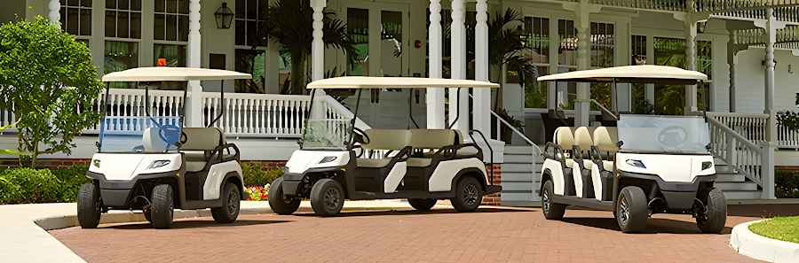 TORO Vista 4-8 Passenger Transport Vehicle