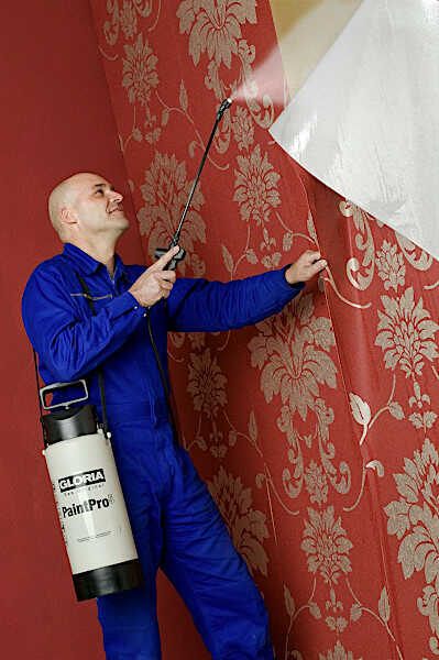 Removing Wallpaper