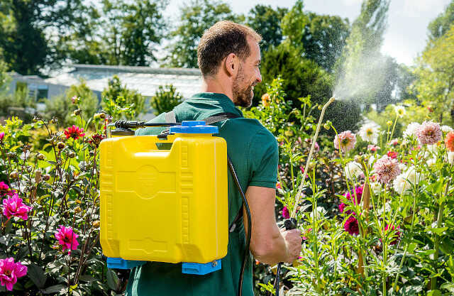 Ψεκαστήρας Πλάτης GLORIA Hobby 1800 στον Κήπο