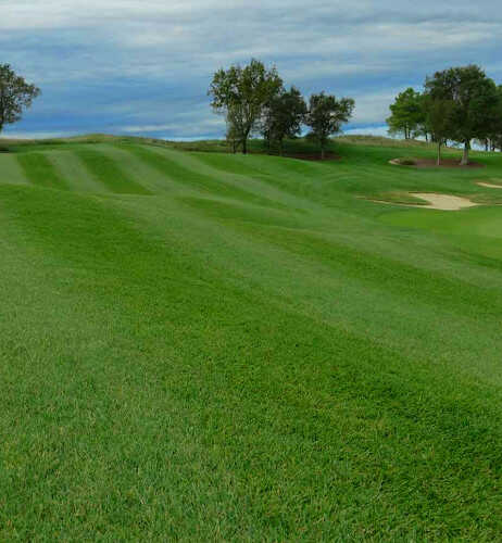 Golf Course with BIZEM