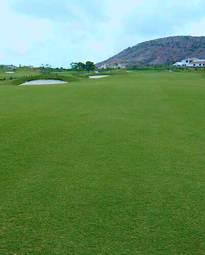 Lawn Area with GOBI