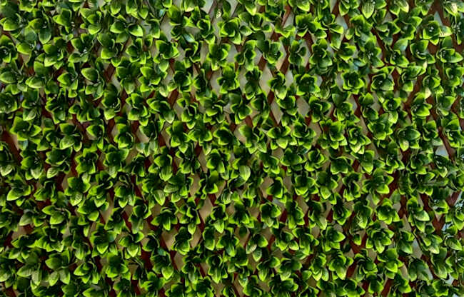 Decorative Expandable Plastic Foliage 100(H)x200cm