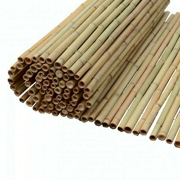 Bamboo Cane Roll 100(H)x300cm Ø14-20mm