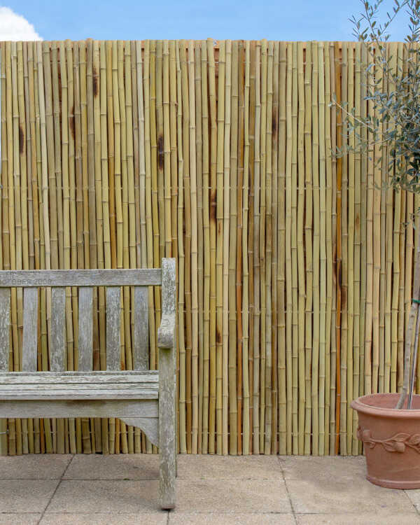 Bamboo Cane Roll 100(H)x300cm Ø14-20mm in the Garden